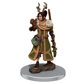 WIZKIDS DND - ICONS - Female Human Druid