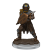DND - ICONS - Male Human Fighter