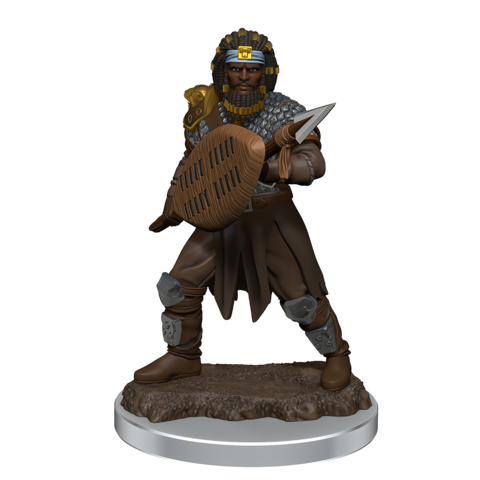DND ICONS O/T REALMS MALE HUMAN FIGHTER PREM FIG