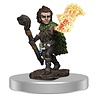 PATHFINDER - BATTLES - Male Gnome Druid