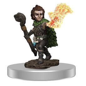 WIZKIDS PATHFINDER - BATTLES - Male Gnome Druid