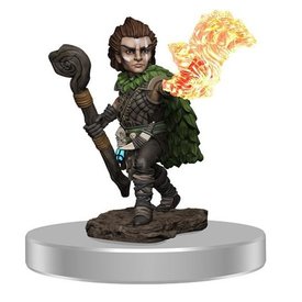 WIZKIDS PF BATTLES: PREM PAINTED FIG - MALE GNOME DRUID