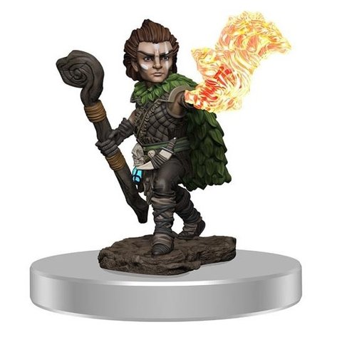 PATHFINDER - BATTLES - Male Gnome Druid