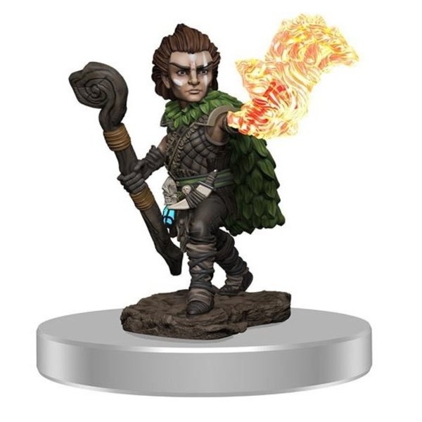 WIZKIDS PATHFINDER - BATTLES - Male Gnome Druid
