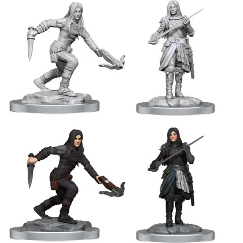 DND UNPAINTED MINIS WV17 HALF-ELF ROGUE FEMALE