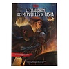 FR - DND LE CHAUDRON DES MERVEILLES DE TASHA