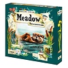 MEADOW - Downstream