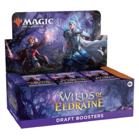 Wizards of the Coast MTG WILDS OF ELDRAINE DRAFT BOOSTER BOX