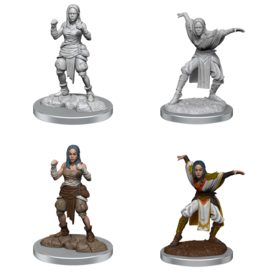 Wizkids PATHFINDER - UNPAINTED MINIS - Female Half-Elf Monks