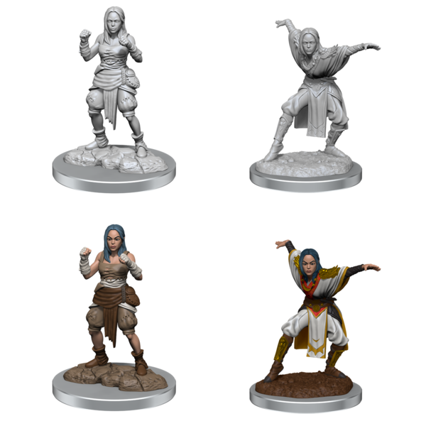 Wizkids PATHFINDER - UNPAINTED MINIS - Female Half-Elf Monks