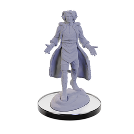 WIZKIDS CR UNPAINTED MINIS WV5 LUCIEN/CREE