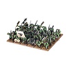 OLD WORLD - ORC & GOBLIN TRIBES: Orc Boyz Mob