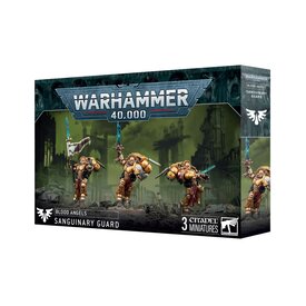 Games Workshop 40K - BLOOD ANGELS - Sanguinary Guard