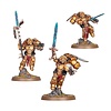 40K - BLOOD ANGELS - Sanguinary Guard