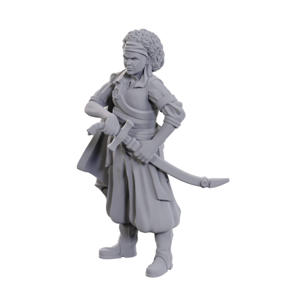 WIZKIDS DND - UNPAINTED MINIS - WV23 - Ansalon Human Rogue