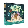 ATTRAPE RÊVES (FR)