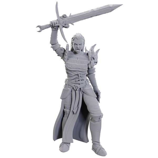 Wizkids DND - UNPAINTED MINIS - WV25 - Blackguard
