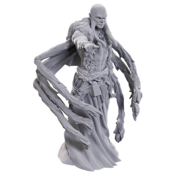 WIZKIDS DND - UNPAINTED MINIS - WV24 - Kraken Priest