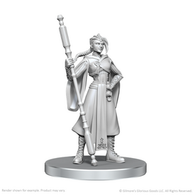 Wizkids CR - UNPAINTED MINIS - WV26 - Beauregard Lionett & Caleb Widogast