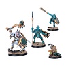 AOS - SPEARHEAD - SERAPHON - Sunblooded Prowlers