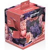 UG - DECK CASE (133+) - SIDEWINDER - FLORAL - Vivid Field
