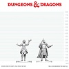 DND - UNPAINTED MINI - Knight & Mage Apprentice