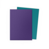 DRAGON SHIELD - SLEEVES (100ct) - DUAL MATTE - Soul and Petrol