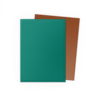 DRAGON SHIELD - SLEEVES (100ct) - DUAL MATTE - Power and Copper
