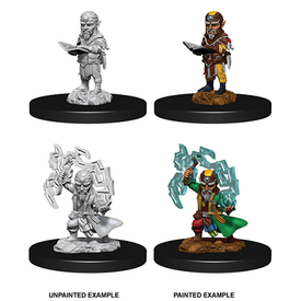 Wizkids PATHFINDER - UNPAINTED MINIS - Male Gnome Sorcerer