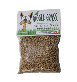 Giggle Grass Giggle Grass - Oat Grass Seeds