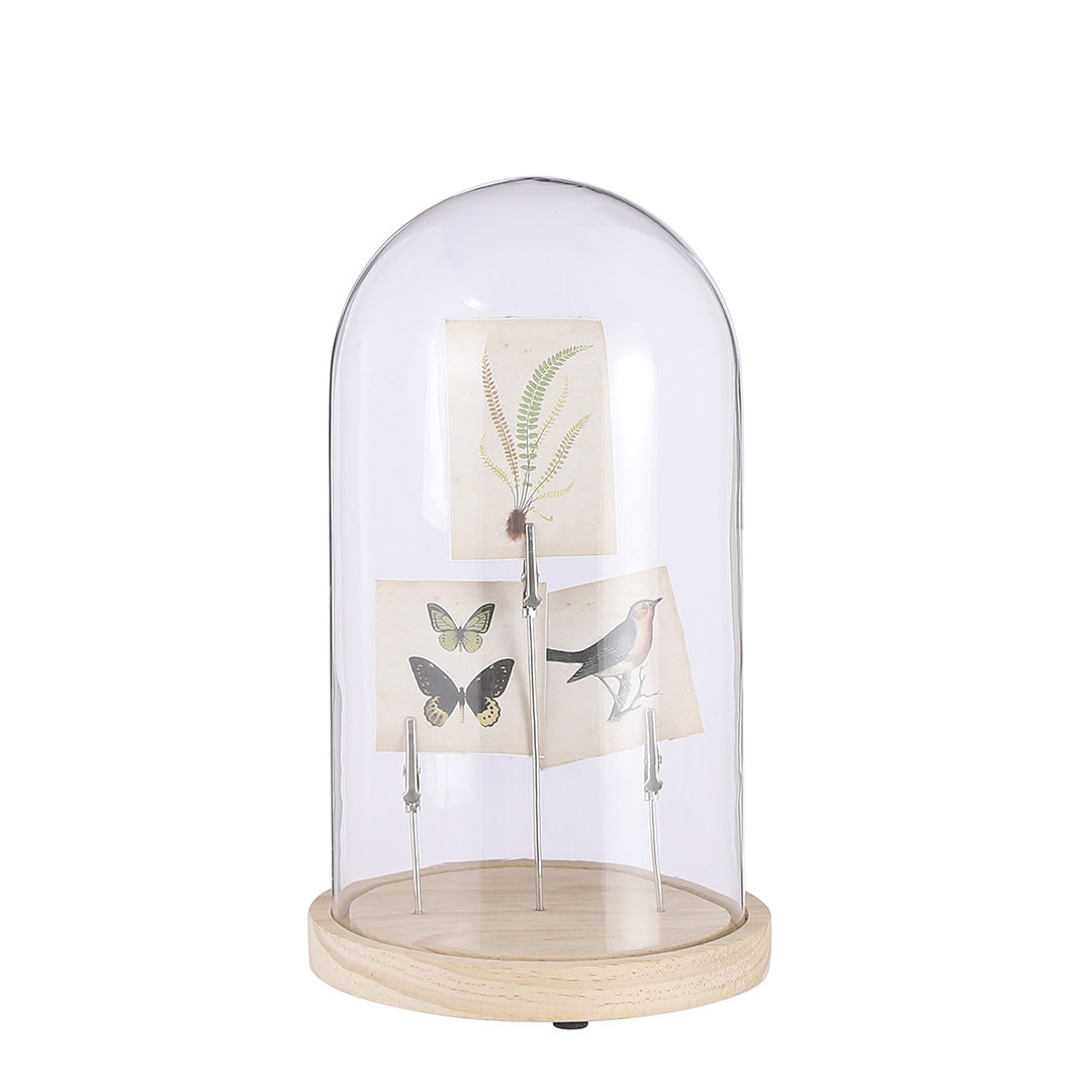 Glass Cover with Decoration - Butterfly,Bird,Branch