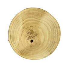 Dijk Paulownia Wood Round Slice