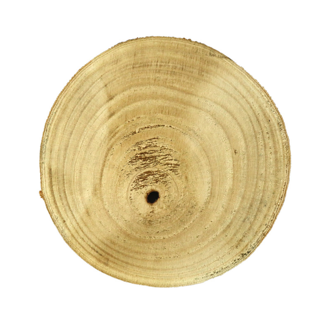 Dijk Paulownia Wood Round Slice