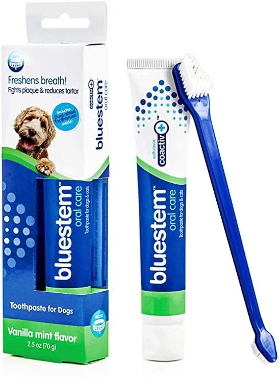 Bluestem Toothbrush & Paste Combo