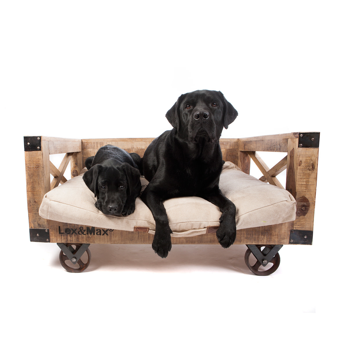 Lex & Max Divan wood on Wheels