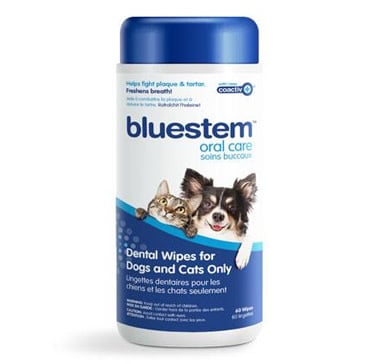 Bluestem Dental Wipes