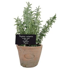 Esschert Artificial Thyme in Aged Terra Cotta Pot - 26cm