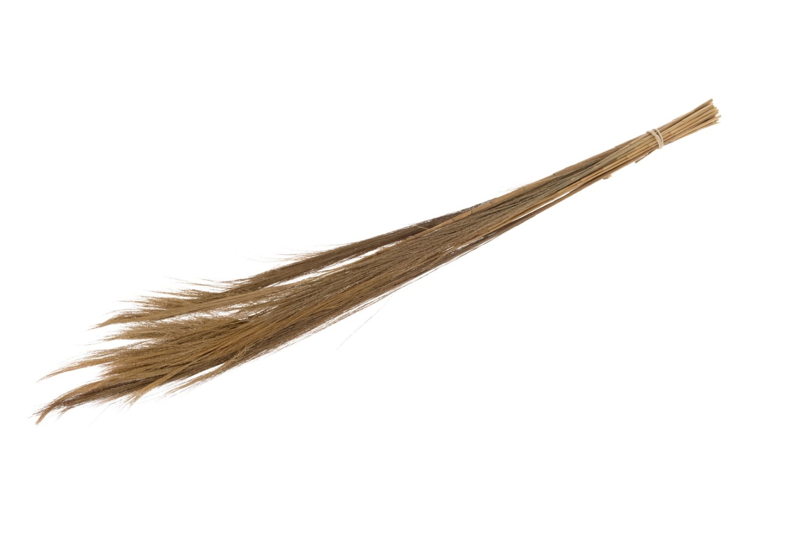 Dijk Broom Grass Nature 90-105cm 100gr