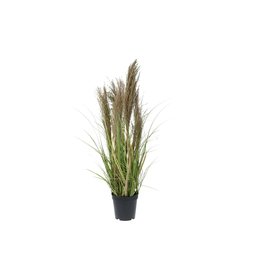 Dijk Grass With Reed Artificial 90x22x22cm