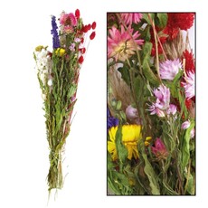 Dijk Dried Flower Bouquet 42-45cm