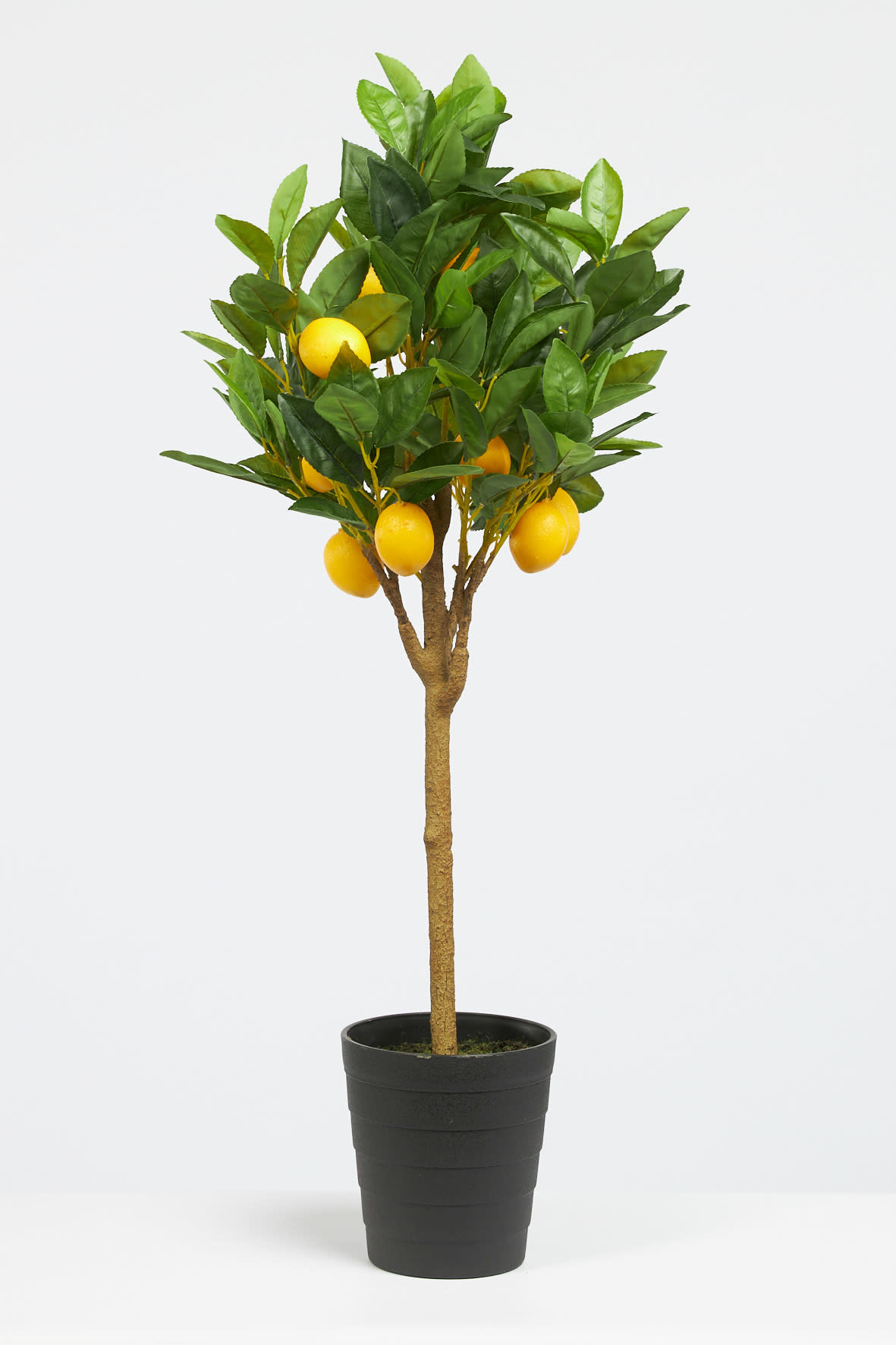 Dijk Artificial - Lemon Tree 70cm