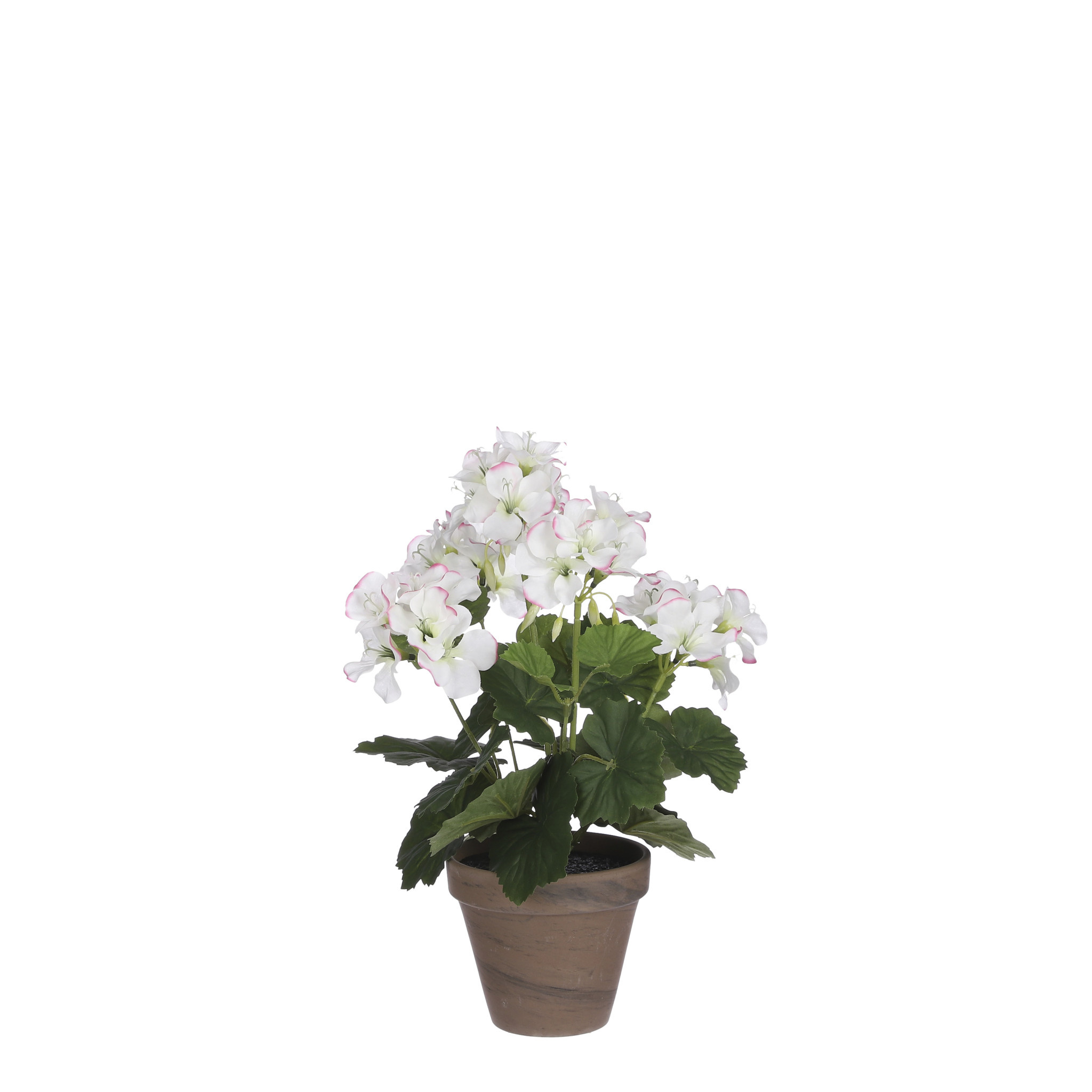 Mica Geranium in Pot Stan Grey d11.5cm - h33xd20cm