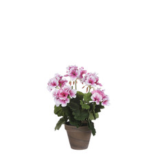 Mica Geranium in Pot Stan Grey d11.5cm - h33xd20cm