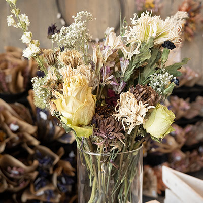 Dried flowers at Wilson's
