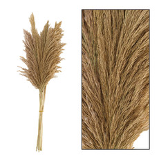 Dijk Wild Reed Plume 10pc - 75cm