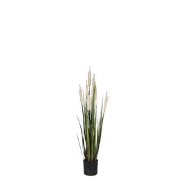 Mica Cattail Grass in Pot - Cream - h90xd25cm