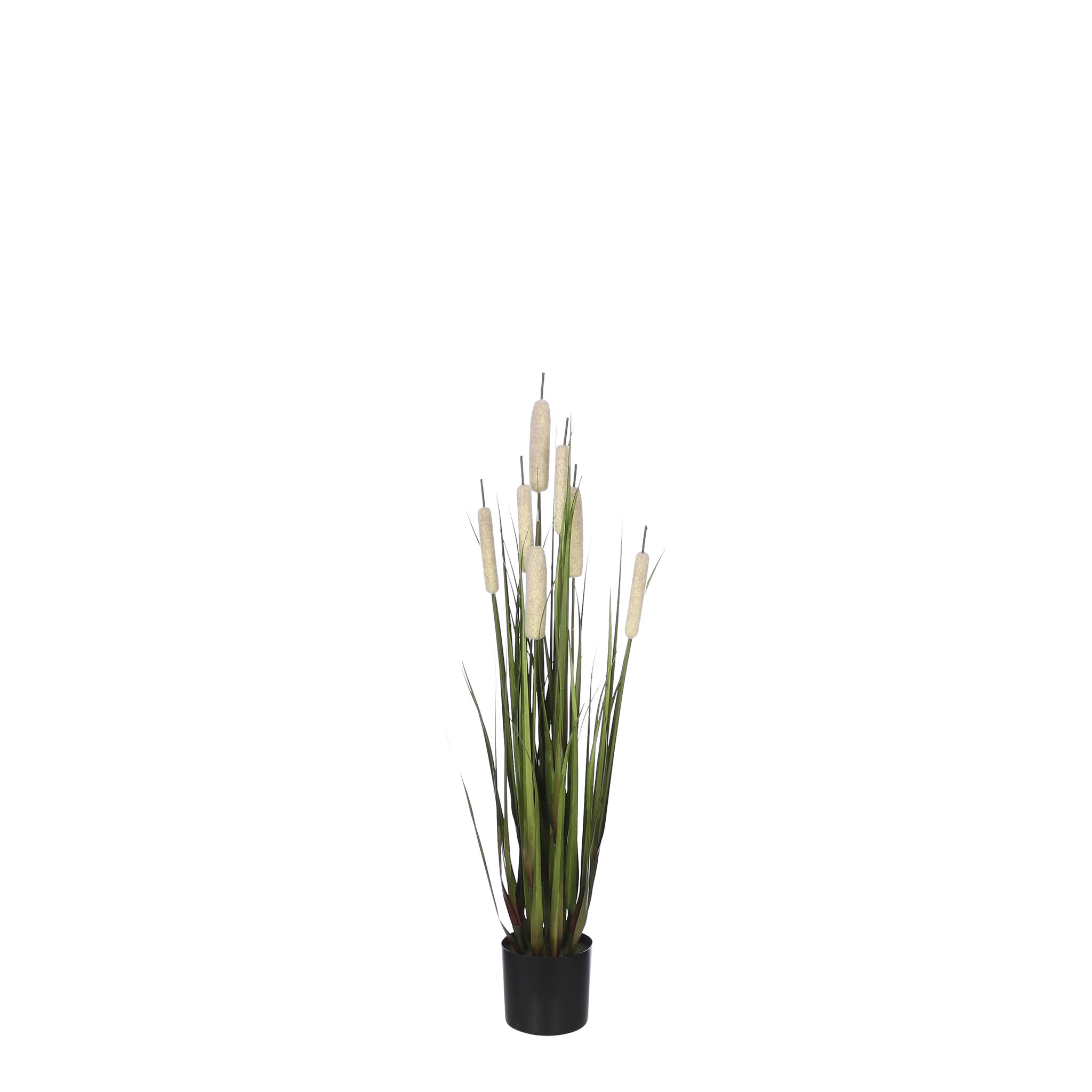 Mica Cattail Grass in Pot - Cream - h90xd25cm