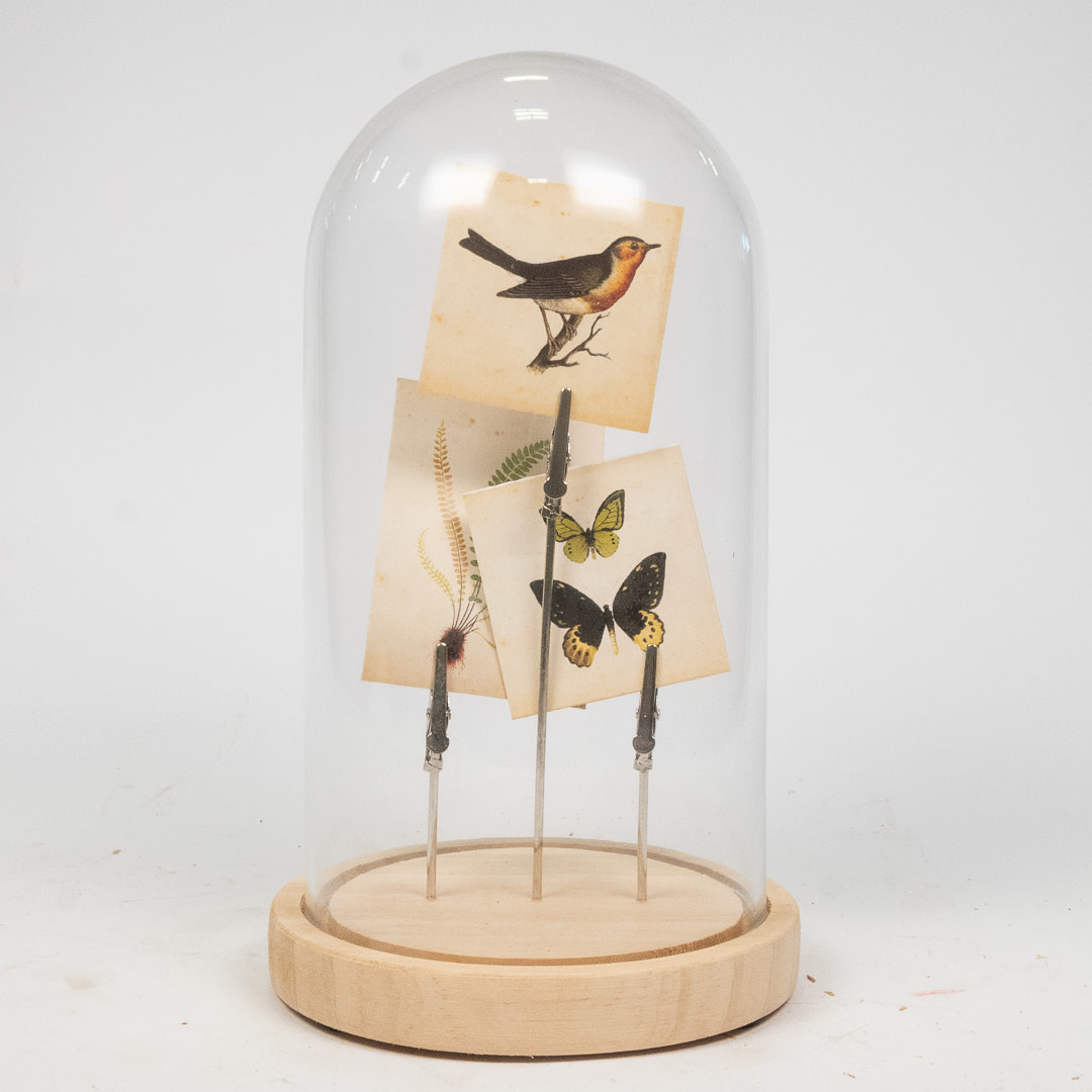 Glass Cover with Decoration - Butterfly,Bird,Branch