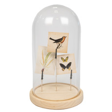 Glass Cover with Decoration - Butterfly,Bird,Branch