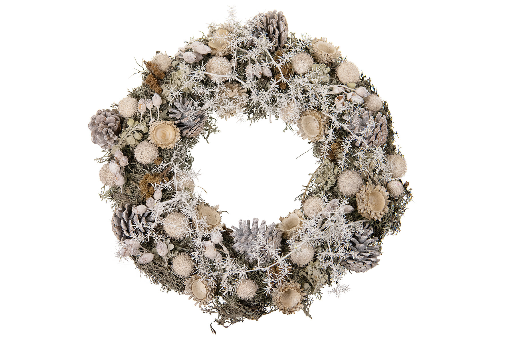 Dijk Wreath waxed pine cone/asparagus 35cm white in tray
